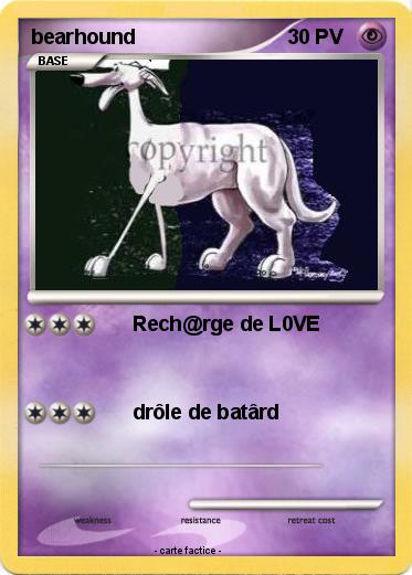 Pokemon bearhound