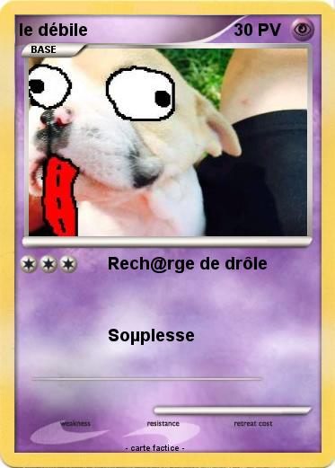 Pokemon le débile