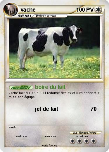 Pokemon vache