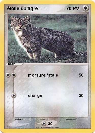 Pokemon étoile du tigre