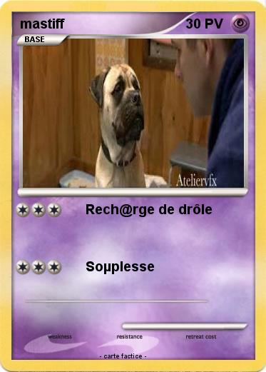 Pokemon mastiff