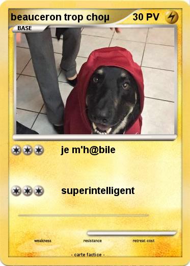 Pokemon beauceron trop choµ