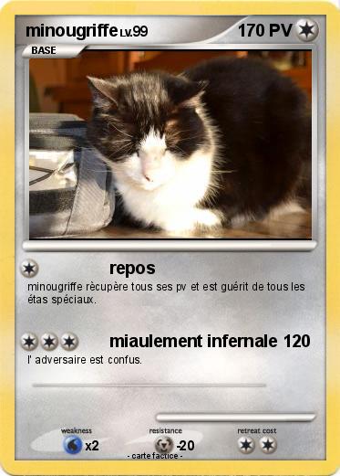 Pokemon minougriffe