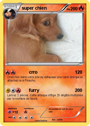 Pokemon super chien