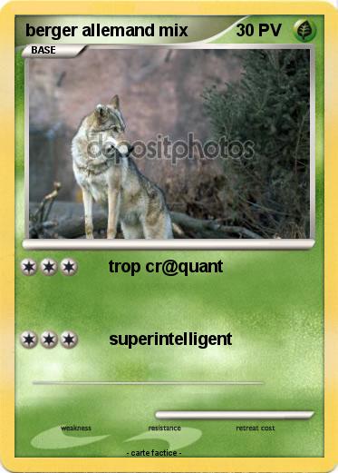 Pokemon berger allemand mix