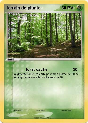Pokemon terrain de plante