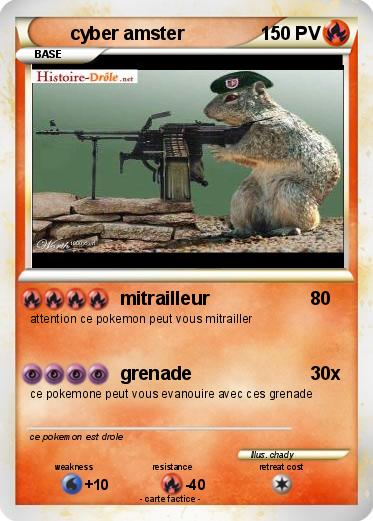 Pokemon cyber amster