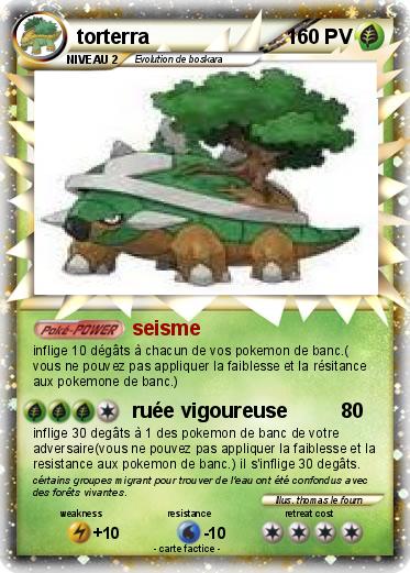 Pokemon torterra