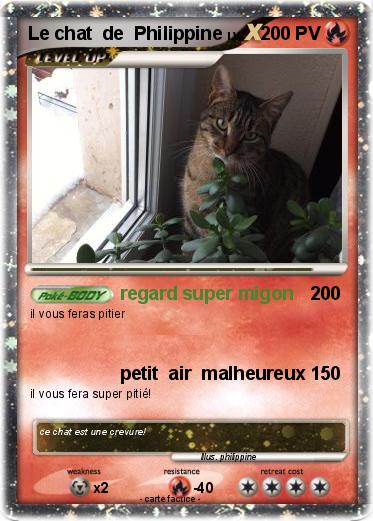 Pokemon Le chat  de  Philippine
