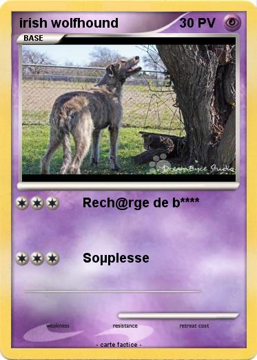 Pokemon irish wolfhound