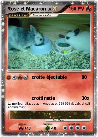 Pokemon Rose et Macaron