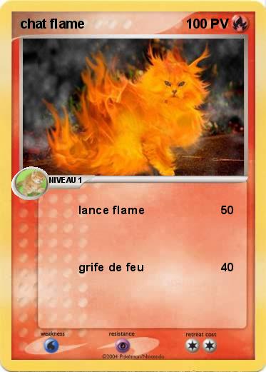 Pokemon chat flame