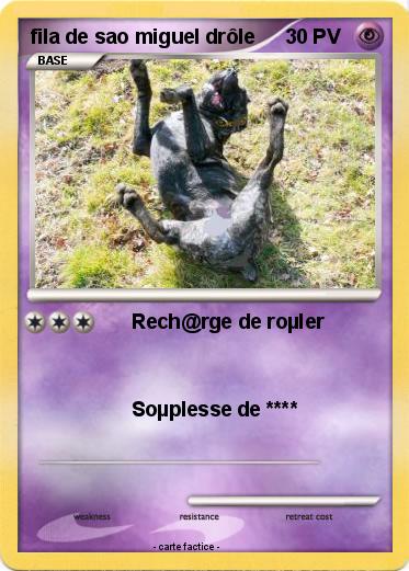 Pokemon fila de sao miguel drôle