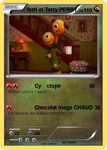 Pokemon Terri et Terry PERRY