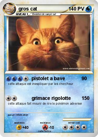 Pokemon gros cat