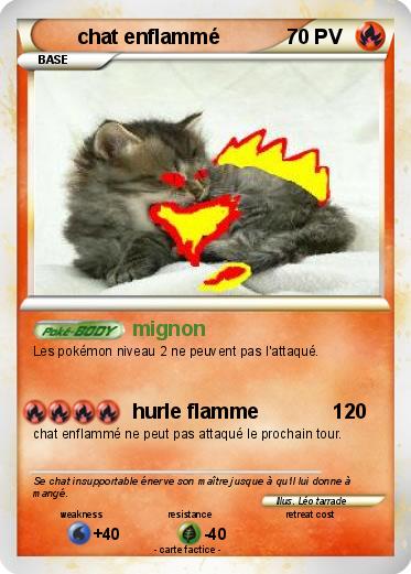 Pokemon chat enflammé