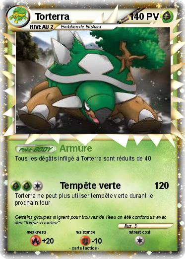 Pokemon Torterra
