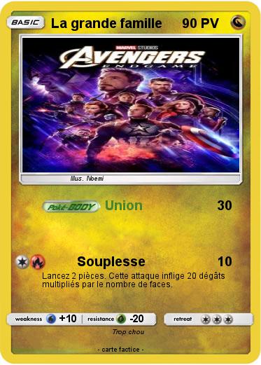 Pokemon La grande famille