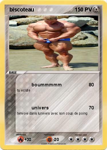 Pokemon  biscoteau