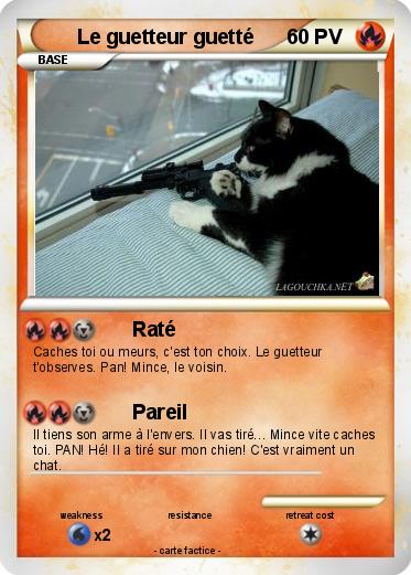 Pokemon Le guetteur guetté