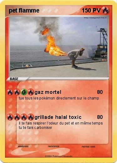 Pokemon pet flamme