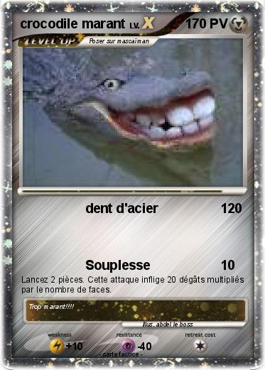 Pokemon crocodile marant