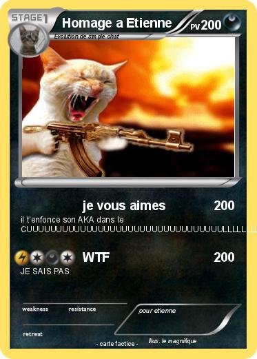 Pokemon Homage a Etienne