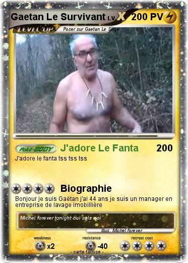 Pokemon Gaetan Le Survivant