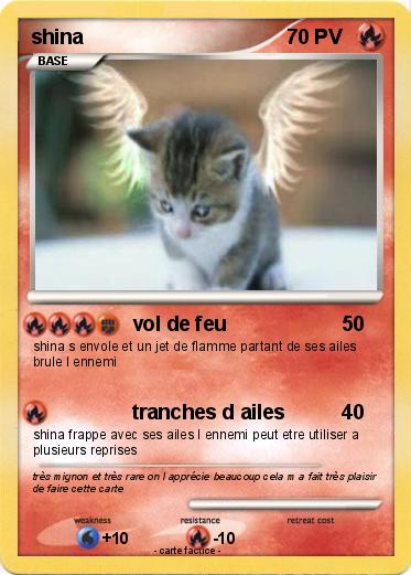 Pokemon shina
