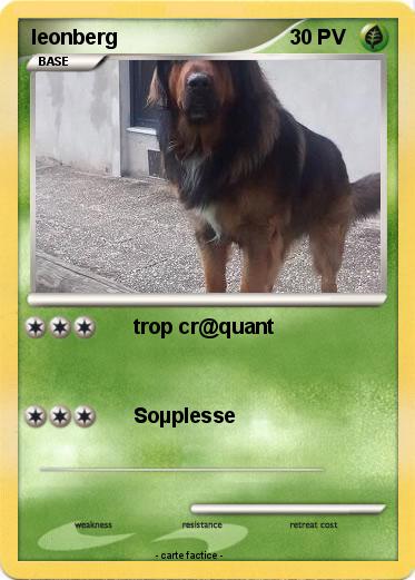 Pokemon leonberg