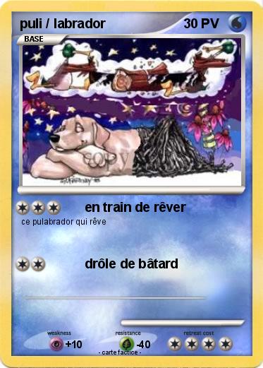 Pokemon puli / labrador