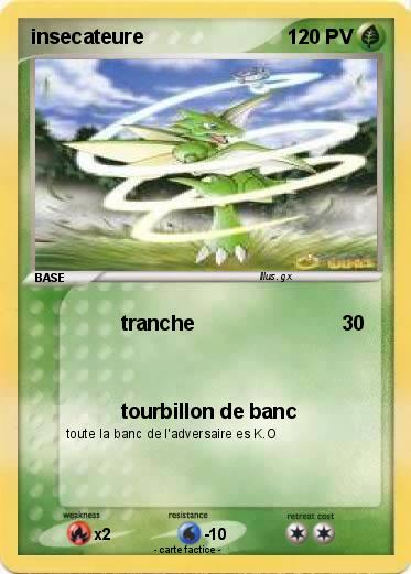 Pokemon insecateure