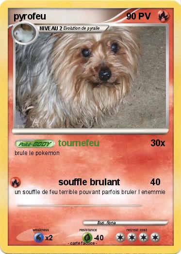 Pokemon pyrofeu
