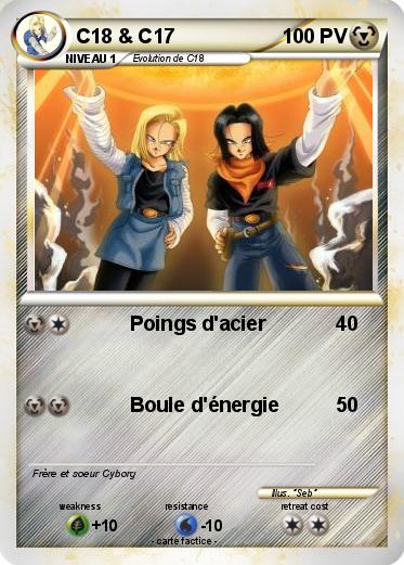 Pokemon C18 & C17