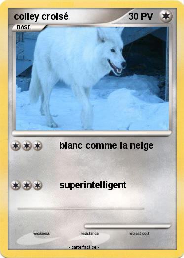 Pokemon colley croisé