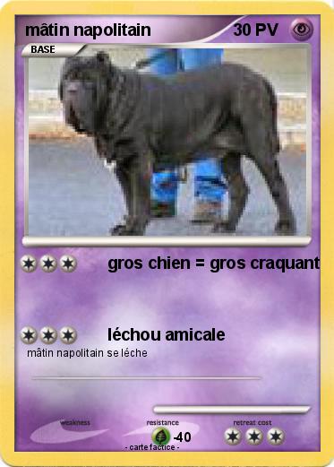 Pokemon mâtin napolitain