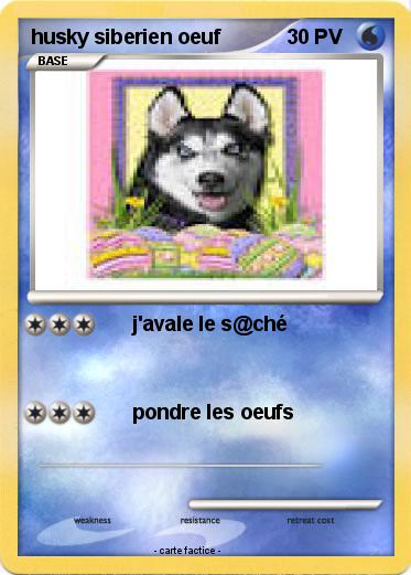 Pokemon husky siberien oeuf