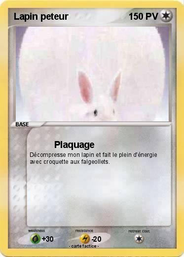 Pokemon Lapin peteur