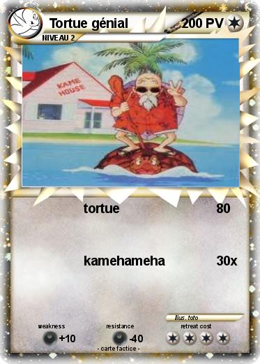 Pokemon Tortue génial