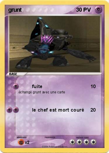 Pokemon grunt