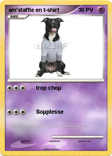 Pokemon am'staffie en t-shirt