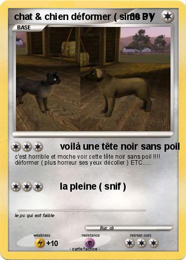 Pokemon chat & chien déformer ( sims 3 )
