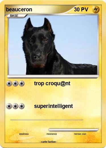 Pokemon beauceron
