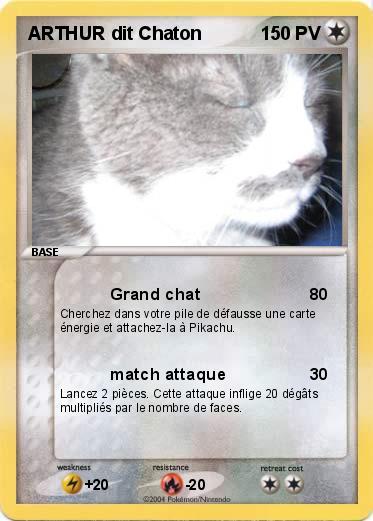 Pokemon ARTHUR dit Chaton