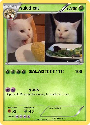 Pokemon salad cat