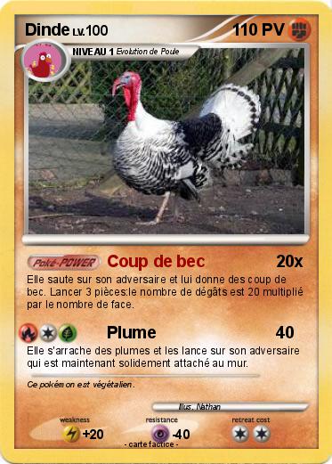 Pokemon Dinde