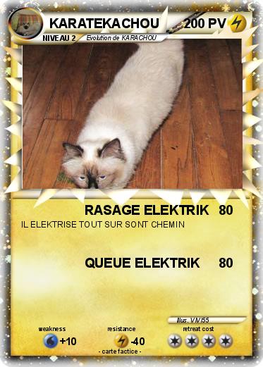 Pokemon KARATEKACHOU