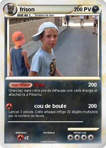 Pokemon frison