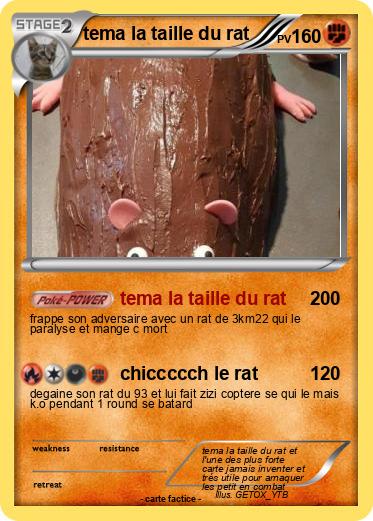 Pokemon tema la taille du rat