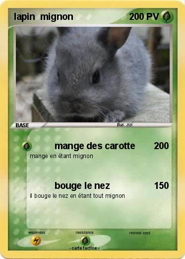 Pokemon lapin  mignon